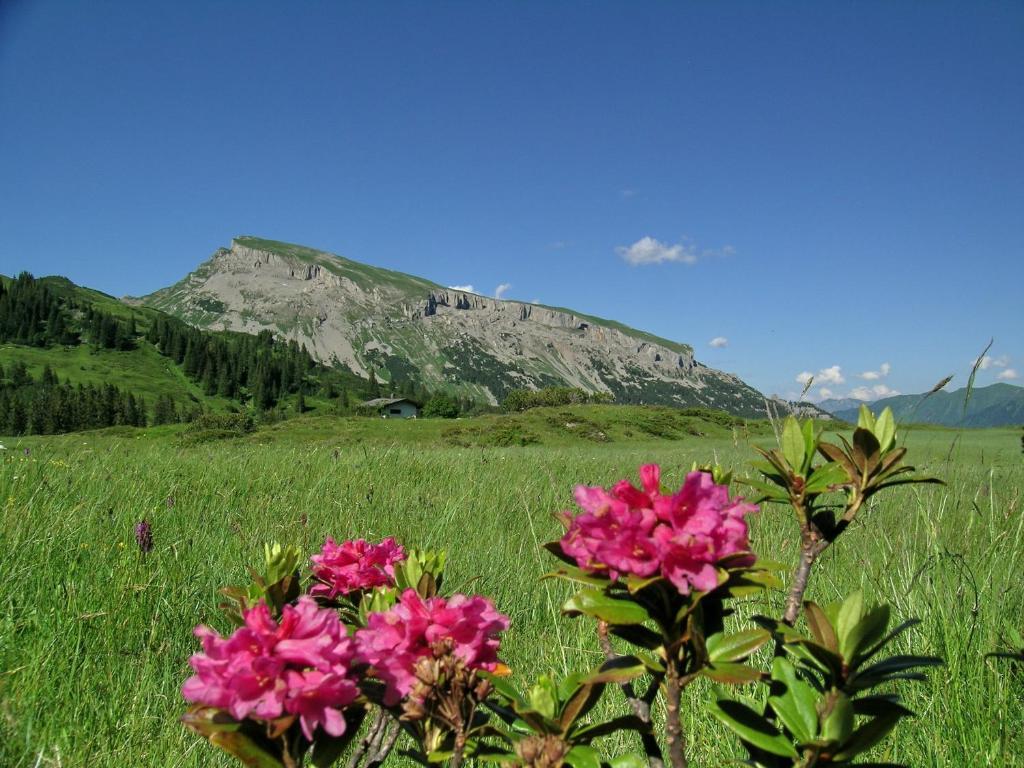 Gatterhof Hotel Riezlern Buitenkant foto